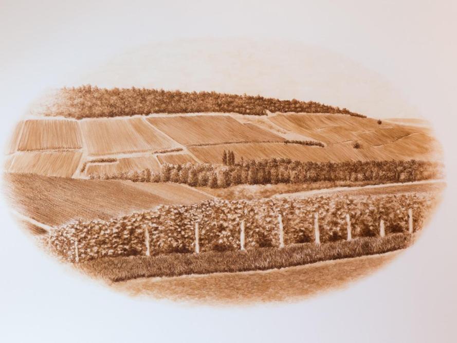 Vintage 1894 & Spa Au Coeur Du Vignoble Villers-sous-Châtillon Zewnętrze zdjęcie